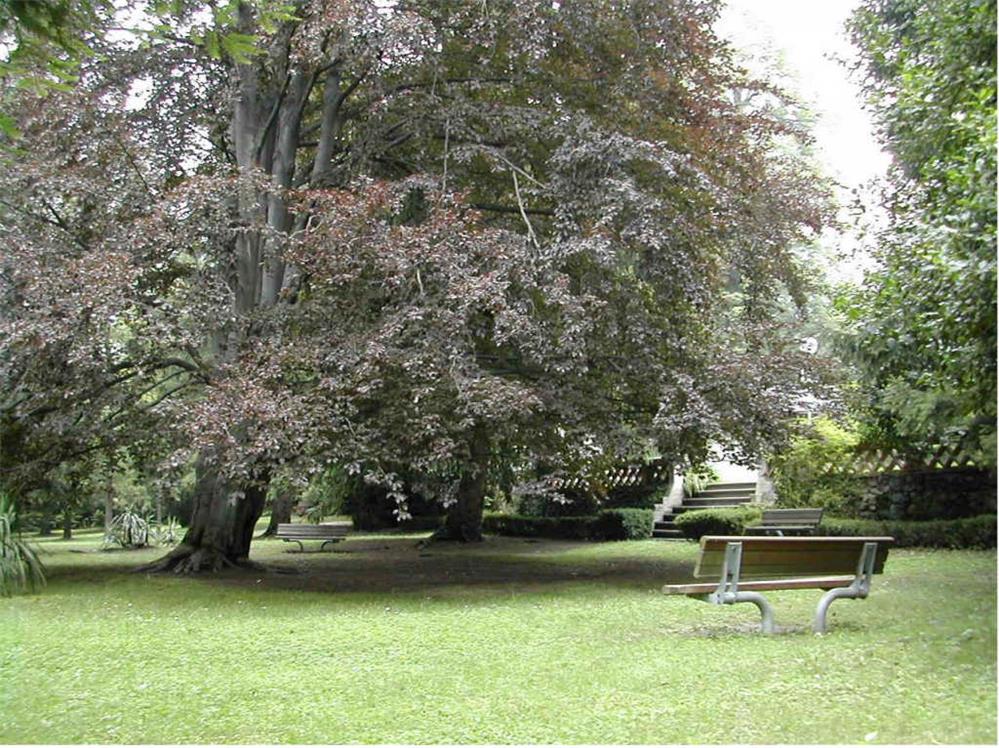 Piazze, parchi e giardini